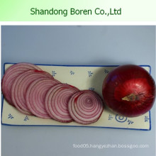 Lowest Price Fresh Red Onion Fresh Onion From China